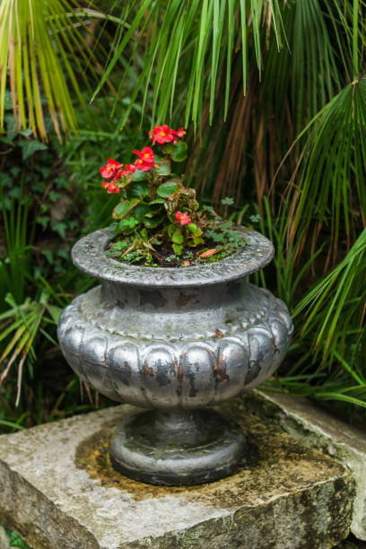 istock red flowers in old shabby  silver vase 873445480