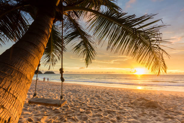 istock Woodden swing under coconut tree on the beach with sunset background. 873447618