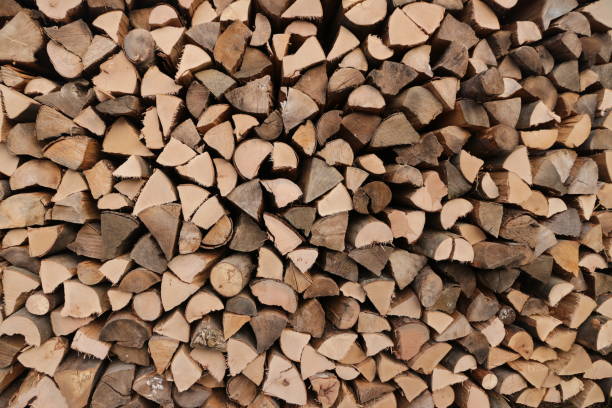 istock Pile of firewood 873458950