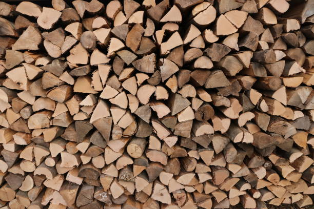 istock Pile of firewood 873458952