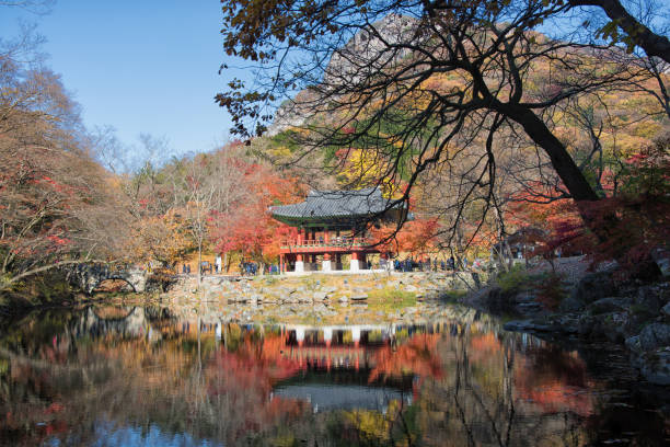 istock Buddhist Pagoda in Autumn Korea 873469216