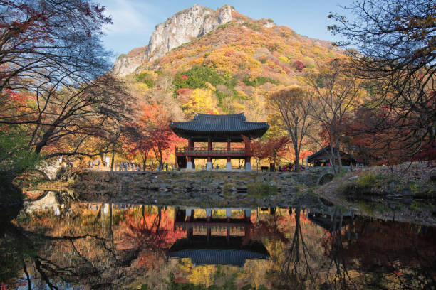 istock Autumn Landscape in Korea 873469428