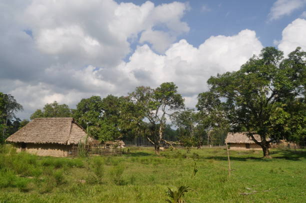 istock Villages in Baratang 873469882
