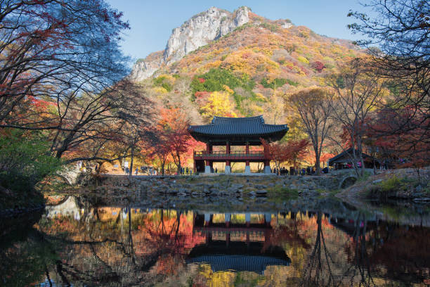 istock Buddhist Pagoda in Autumn Atmosphere 873472292