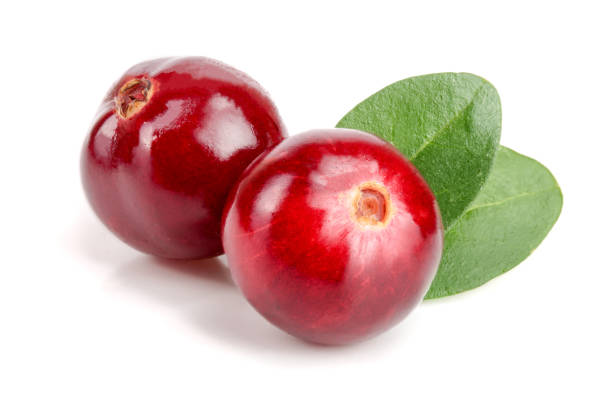istock Cranberry with leaf isolated on white background closeup macro 873472420
