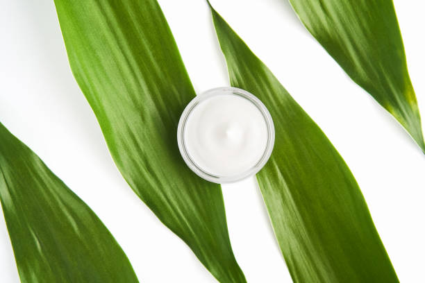 istock White cream bottle placed, Blank label package for mock up on a green foliage background. The concept of natural beauty products. 873473530