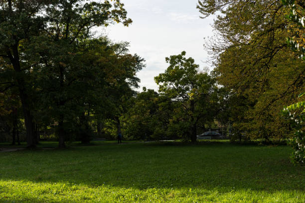 istock trees in park start of autumn at daytime 873476138
