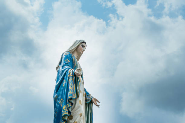 la statua della vergine maria nella cattedrale dell'immacolata concezione - madonna della salute foto e immagini stock