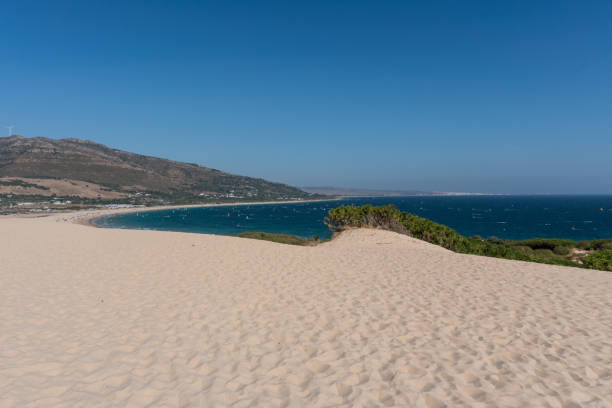 istock Bologna Sand Dune, Andalucia Spain 873484514
