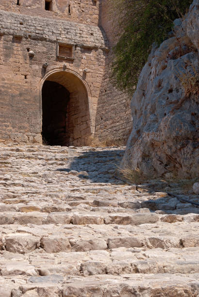 fortress gates. - ancient forest arch architecture imagens e fotografias de stock