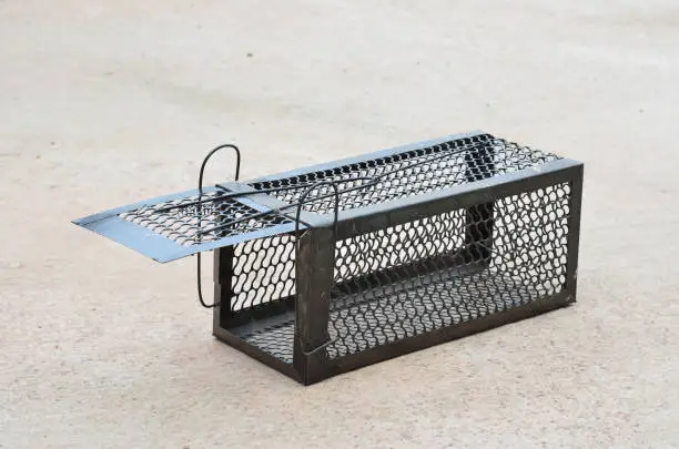 Cage mousetrap