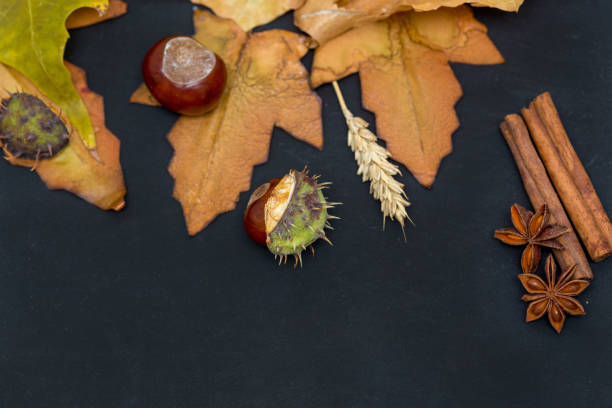 istock autumn background with colored leaves on wooden board 873499730