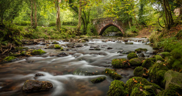 puente de horner - exmoor national park fotografías e imágenes de stock