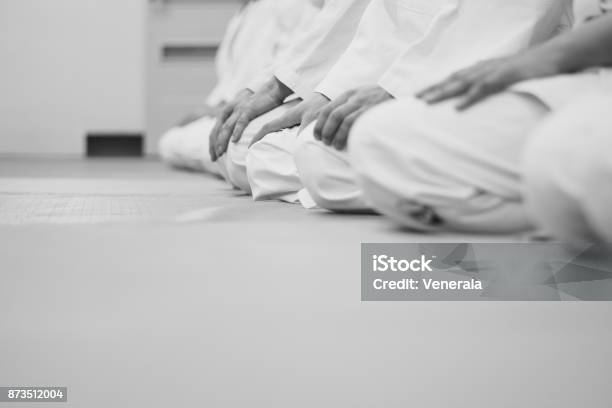 Students Sitting In A Kimono In The Gym Stock Photo - Download Image Now - Jujitsu, Child, Aikido