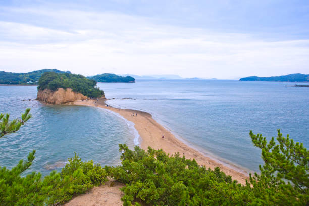 el camino del ángel, de shodoshima island, shikoku, japón. - shikoku fotografías e imágenes de stock