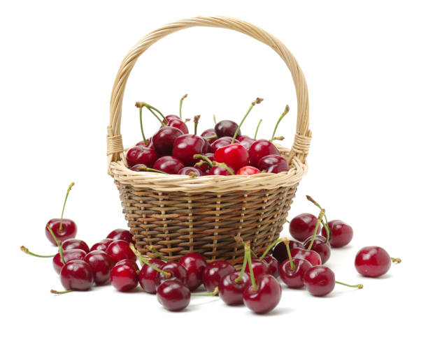 istock Bunch of cherries isolated on white background 873520056