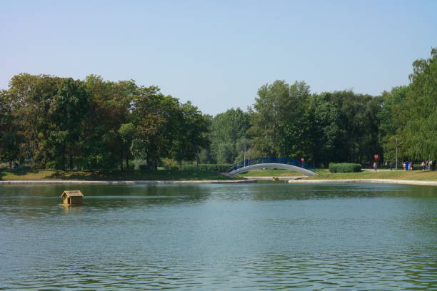 istock summer in city park 873523254