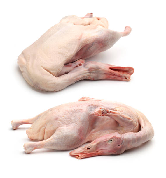 istock Raw Uncooked Duck On Wood Cutting Board Isolated on a white background 873526798