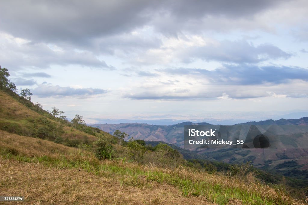 panoramic views from mountaintop of Phu Lom Lo,Phu Hin Rong Kla National Park,Kok Sathon,Dan Sai District,Loei,Thailand Phu Lom Lo is the new tourist attraction in Phu Hin Rong Kla National Park,Kok Sathon,Dan Sai District,Loei,Thailand,where more than 100,000 wild Himalayan cherries begin to blossom.The spectacle takes place from mid-January to mid-February.The pink landscape where the wild Himalayan cherry trees span the hills is a breathtaking sight. 1980-1989 Stock Photo