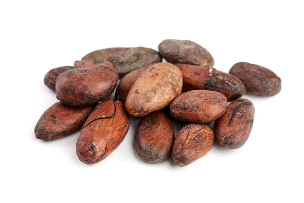istock unpeeled cocoa bean isolated on white background macro top view 873531668