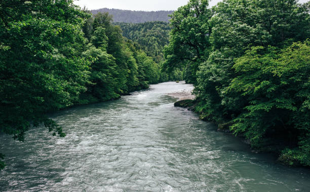 istock Beautiful view of mountain forest river in cloudy day. 873534710