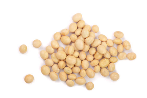 istock soybeans isolated on white background top view 873534912