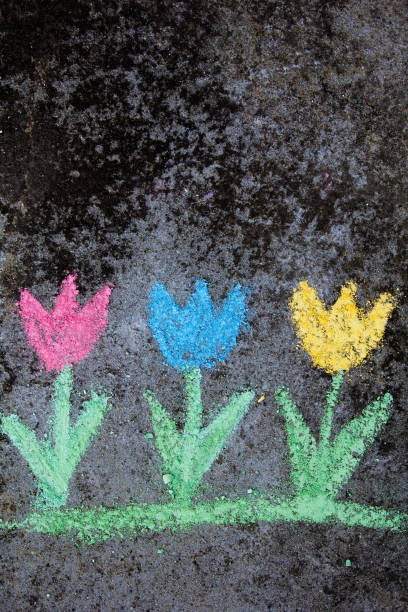 istock chalk drawing on asphalt: colorful tulips 873539126