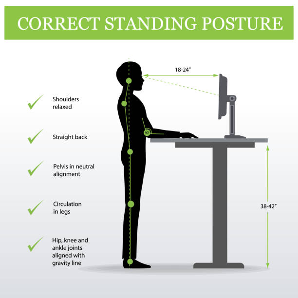 人間工学に基づいた。正しい姿勢と高さ調節可能なテーブル - sitting upright点のイラスト素材／クリップアート素材／マンガ素材／アイコン素材