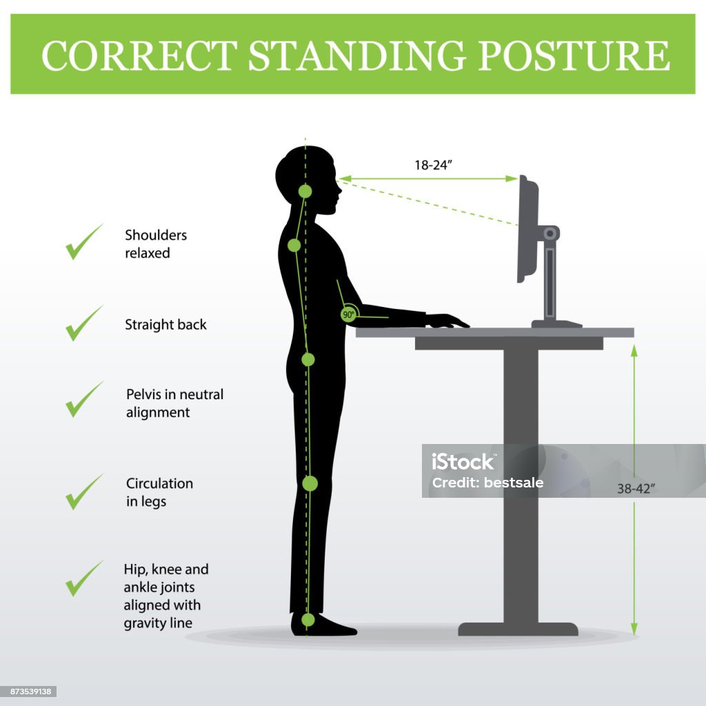 ergonomic. Correct standing posture and Height adjustable table ergonomic. Correct standing posture on height adjustable desk or table sitting and standing pose of a man. Healthy sitting pose Ergonomics stock vector