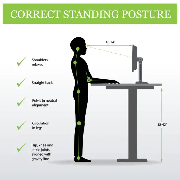 Vector illustration of ergonomic. Correct standing posture and Height adjustable table