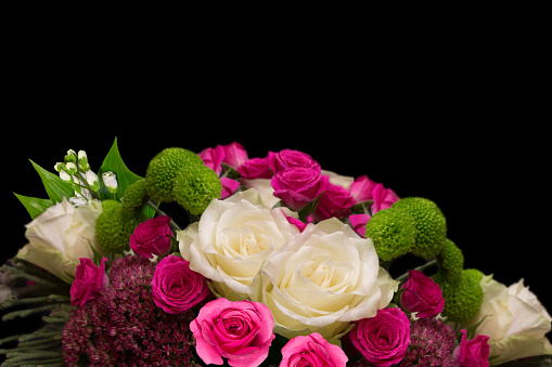 Beautiful white and pink roses isolated on black
