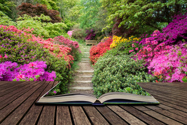 Beautiful vibrant landscape image of footpath border by Azalea flowers in Spring in England concept coming out of pages in open book stock photo