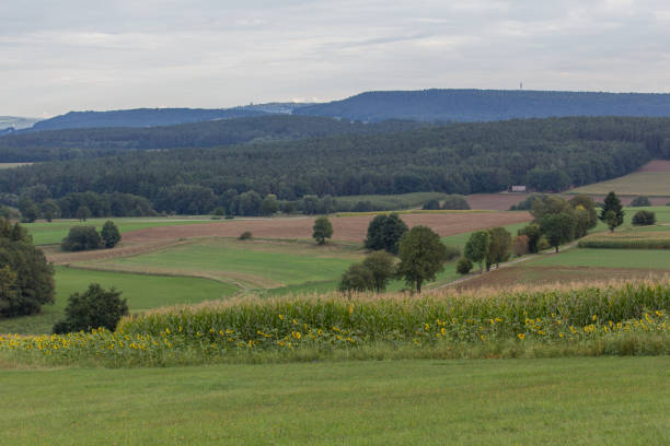 istock Autumn landscape next to Schwandorf 873554942