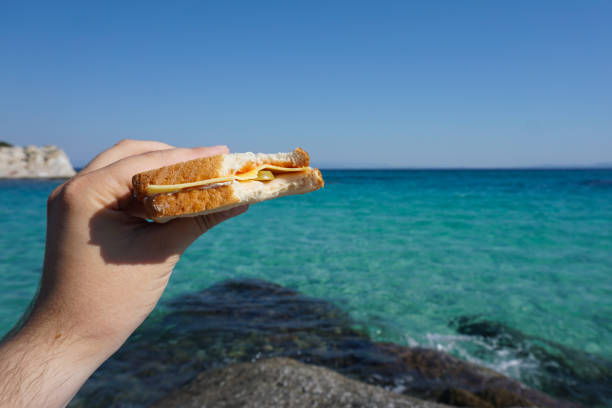 istock Sandwich at sea 873557684