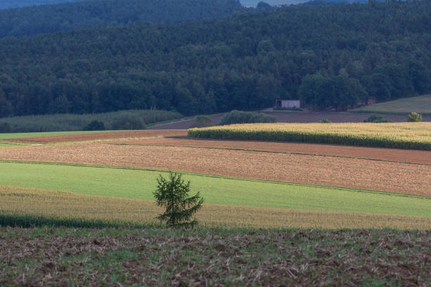 istock Autumn landscape next to Schwandorf 873557940