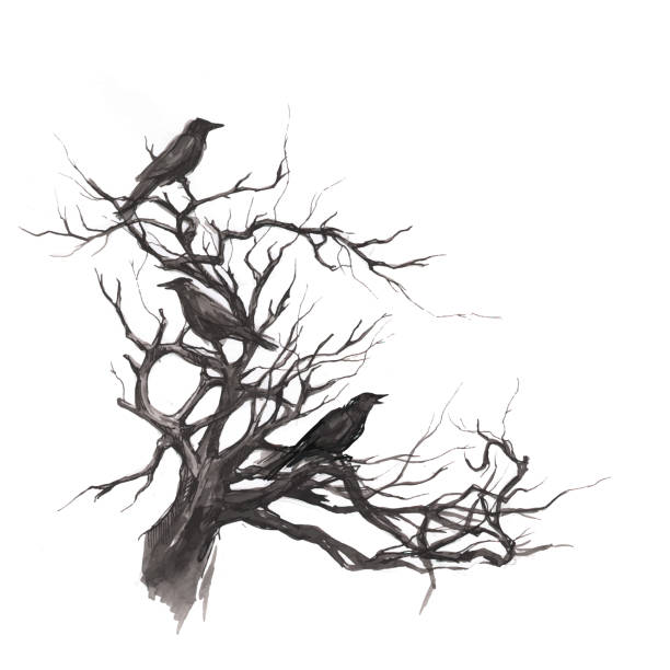 ilustrações, clipart, desenhos animados e ícones de black ravens na árvore velha - halloween horror death gothic style
