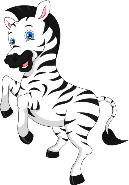 Baby Zebra Illustrations, Royalty-Free Vector Graphics & Clip Art - iStock