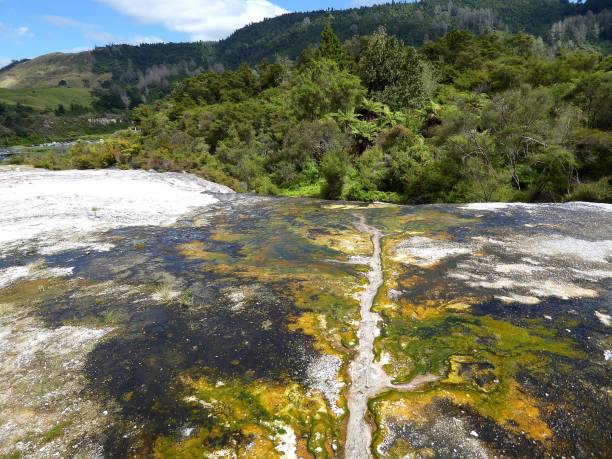 geotermal 지역 공원으로 토 루아, 뉴질랜드에서 - new zealand culture indigenous culture bush maori 뉴스 사진 이미지