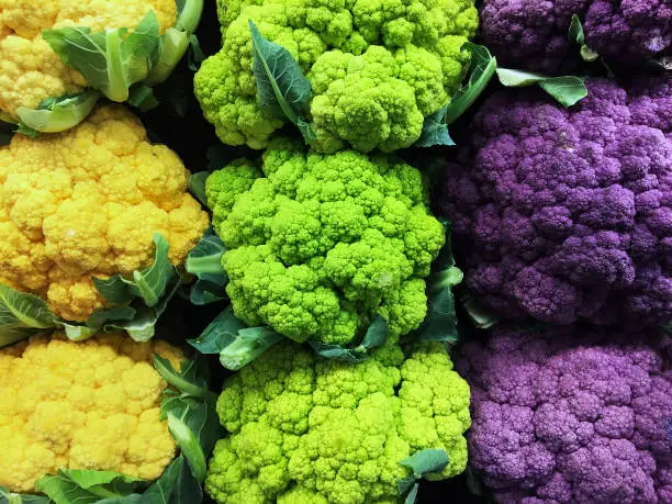 A still-life of yellow, green, and purple cauliflower.
