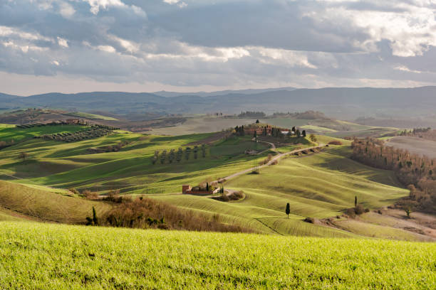 istock colors of the Tuscan hills 873570268