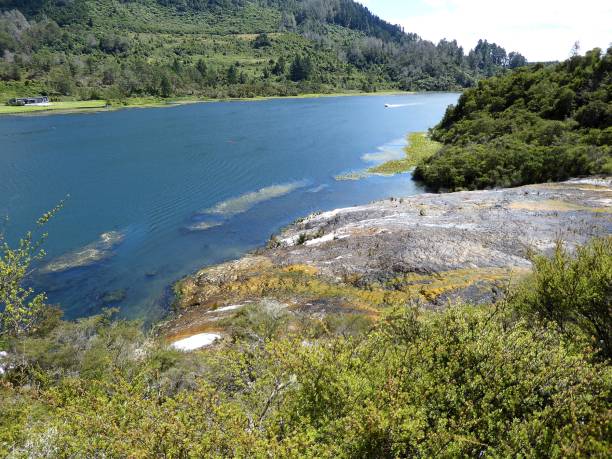 geotermal 지역 공원으로 토 루아, 뉴질랜드에서 - new zealand culture indigenous culture bush maori 뉴스 사진 이미지