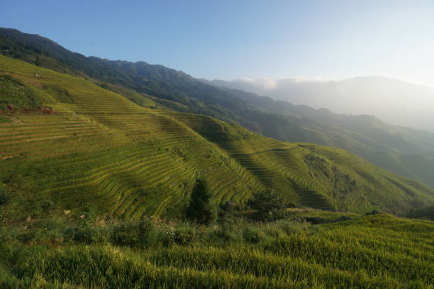 Longsheng Rice Terraces stock photo