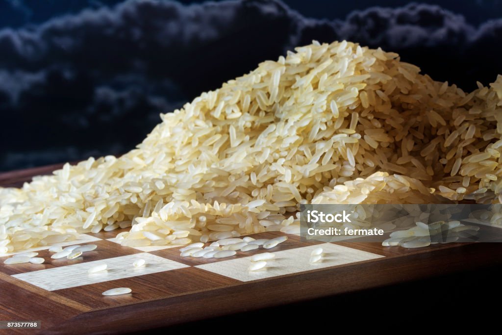 Todos os grãos de arroz num tabuleiro de xadrez