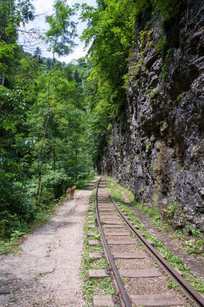 istock Beautiful mountain scenery . Guam gorge. Krasnodar region 873580554