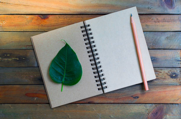 istock Notepad with pencil and leaf on wood board background.using wallpaper for education, business photo.Take note of the product for book with paper and concept, object or copy space. 873581388