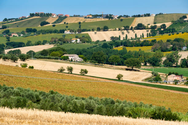 istock Rural landscape near Recanati (Italy) 873584424