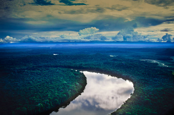 istock Aerial view of river in the Amazon region 873584806