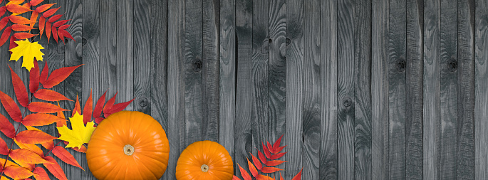 Celebration still life with pumpkins and autumn  leaves on wooden background for Thanksgiving. Empty place for text. Copy space.