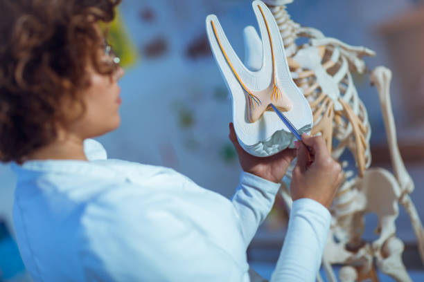 istock Medical doctor woman teaching anatomy using tooth model 873585798