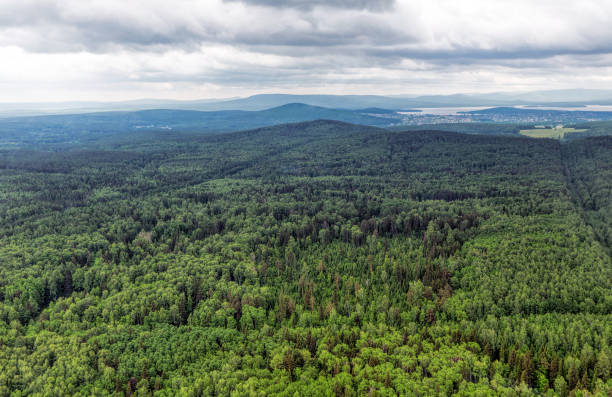 istock Northern landscape. Endless forests 873586990